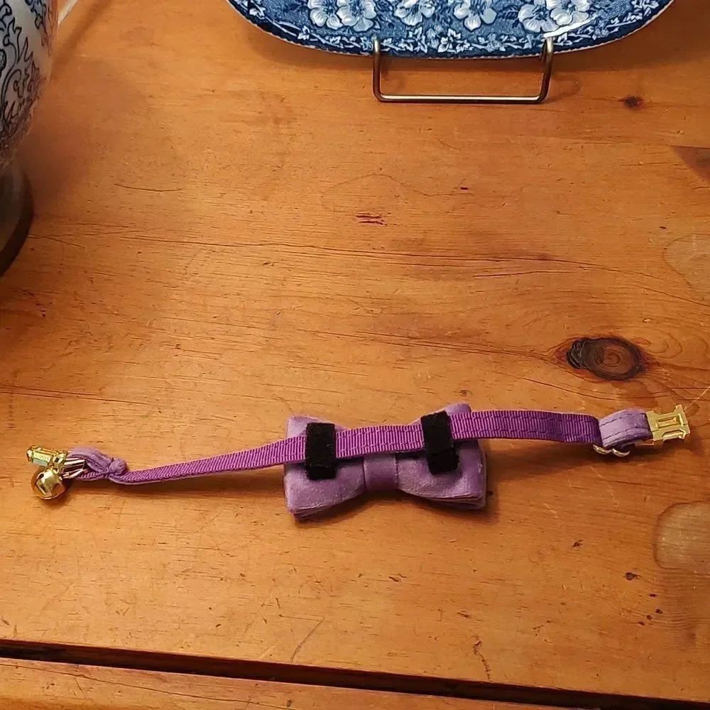 Purple Velvet Bow Cat Collar with Gold Bell and Breakaway Closure NWOT